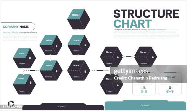 company organization chart. structure of the company. business hierarchy organogram chart infographics. stock illustration organization chart, infographic, chart, diagram, hierarchy - org chart background stock illustrations