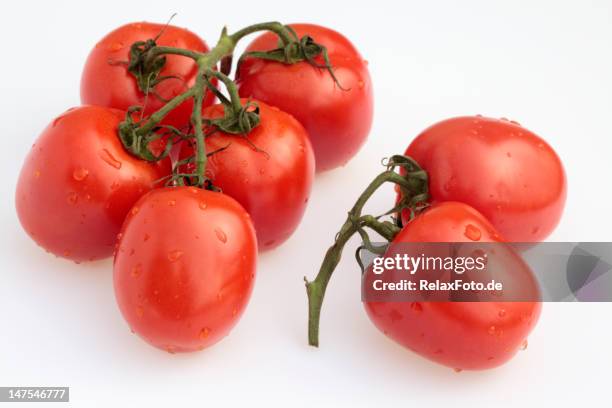 frische tomaten, isoliert auf weiß (xxxl - eiertomate stock-fotos und bilder