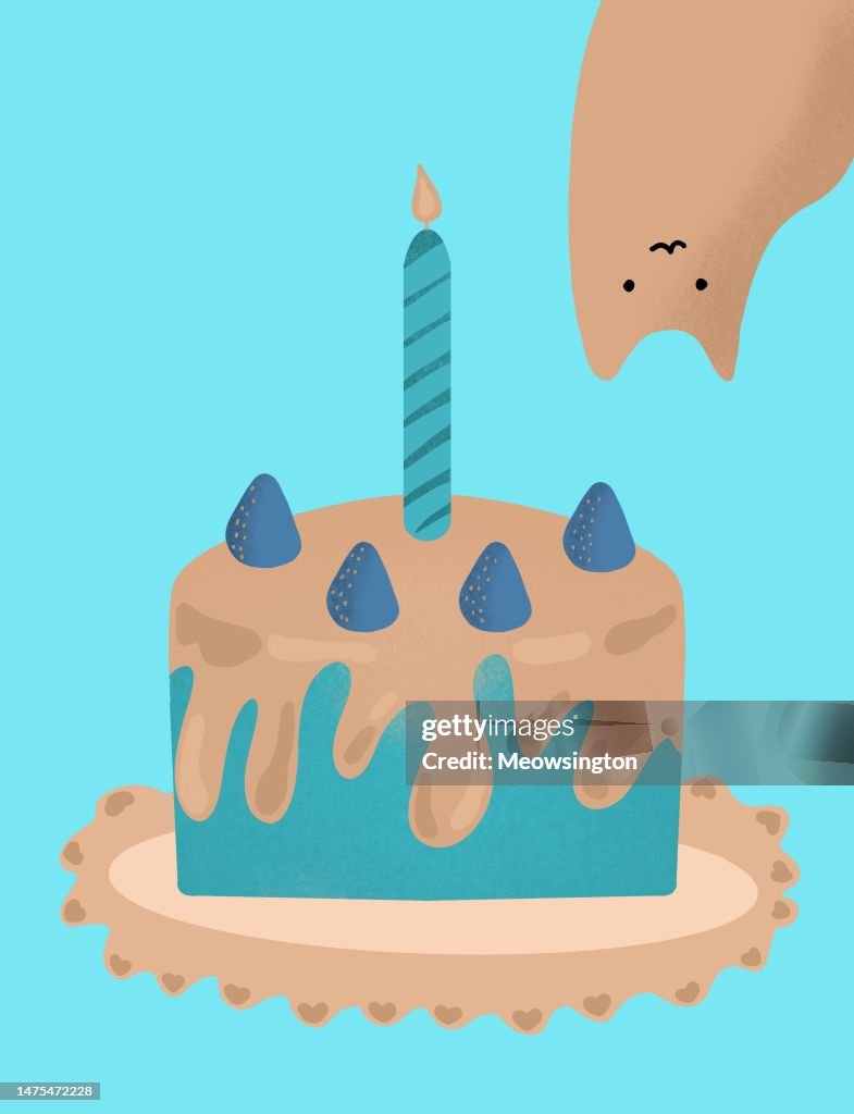 Birthday cake and cat illustration