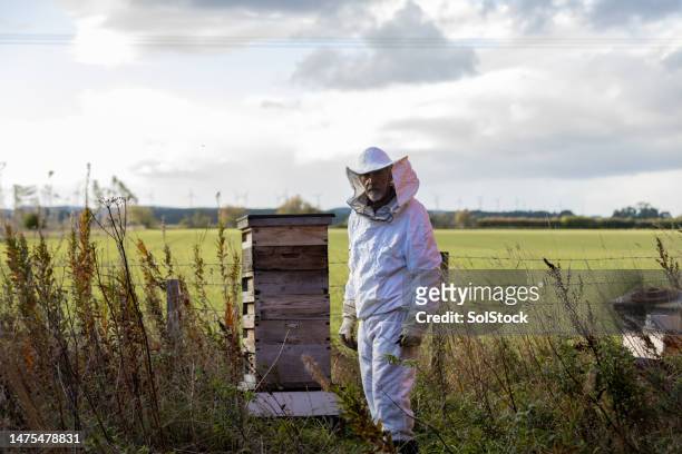 male farmer standing next to bee hive - beekeeping stock pictures, royalty-free photos & images
