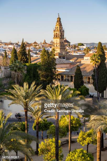 courtyard and bell tower of the cordoba mosque-cathedral - córdoba spanje stockfoto's en -beelden