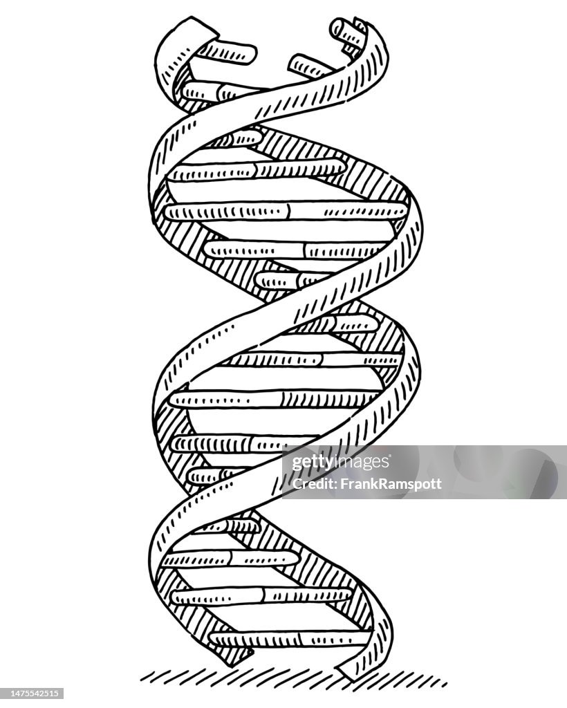 DNA Strand Genetics Symbol Drawing