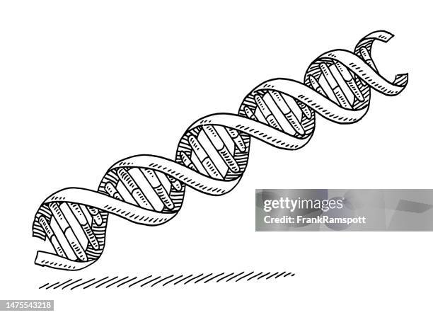 31 Double Helix Gene Dna Drawing Stock Photos, High-Res Pictures, and ...