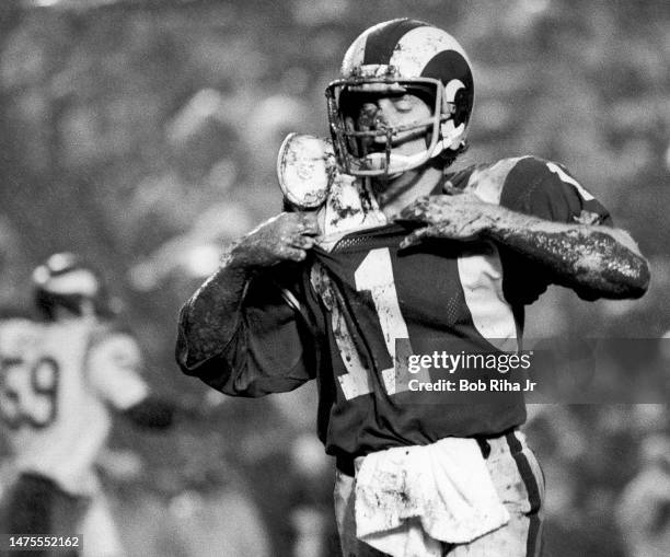Mud-soaked Rams QB Pat Haden returns to sidelines after being sacked during NFC Playoff Game between Los Angeles Rams and Minnesota Vikings, December...