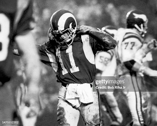 Mud-soaked Rams QB Pat Haden returns to sidelines after being sacked during NFC Playoff Game between Los Angeles Rams and Minnesota Vikings, December...
