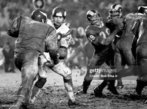 Vikings QB Bob Lee hands off to RB Chuck Foreman and Rams Fred Dryer rushes in during rainstorm at NFC Playoff Game between Los Angeles Rams and...