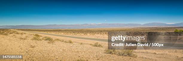 scenic view of road by field against clear blue sky,pie de medano,catamarca,argentina - catamarca stock pictures, royalty-free photos & images