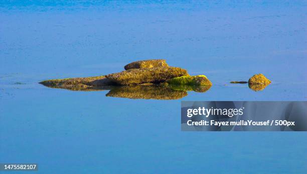 Failaka Photo 34 Failaka Island Stock Photos, High-Res Pictures, and Images - Getty ...