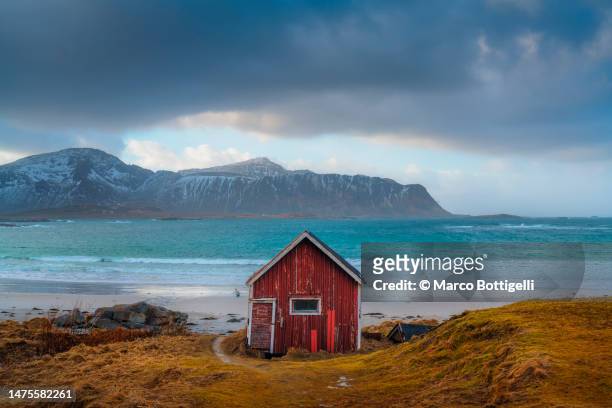solitary red cabin in a fjord, lofoten islands - rorbuer stock pictures, royalty-free photos & images