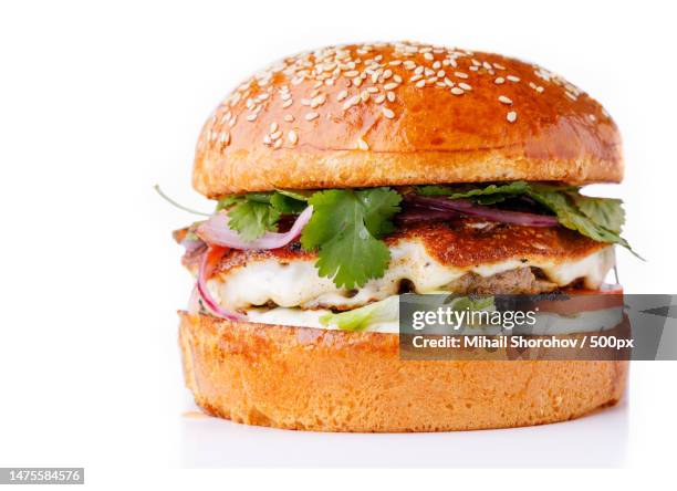 close-up of burger on white background,ukraine - kipburger stockfoto's en -beelden