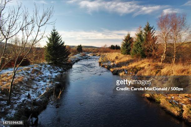 scenic view of river amidst trees against sky,dalmellington,ayr,united kingdom,uk - ayrshire stock pictures, royalty-free photos & images