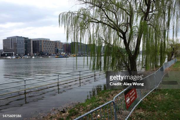 Floodwaters wash up the bank during high tide across the Washington Channel from The Wharf amid cherry blossoms in peak bloom near the Tidal Basin on...