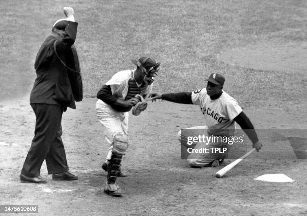 Minnie Minoso of the Chicago White Sox falls to the ground after striking out during an MLB game against the New York Yankees at Yankee Stadium in...