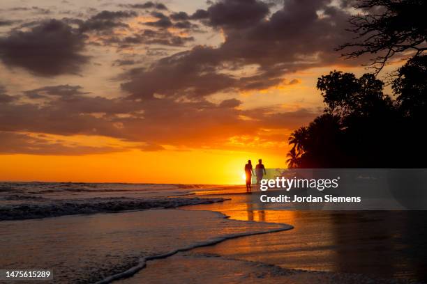 a couple walking the beach during sunset. - costa rica beach stock-fotos und bilder