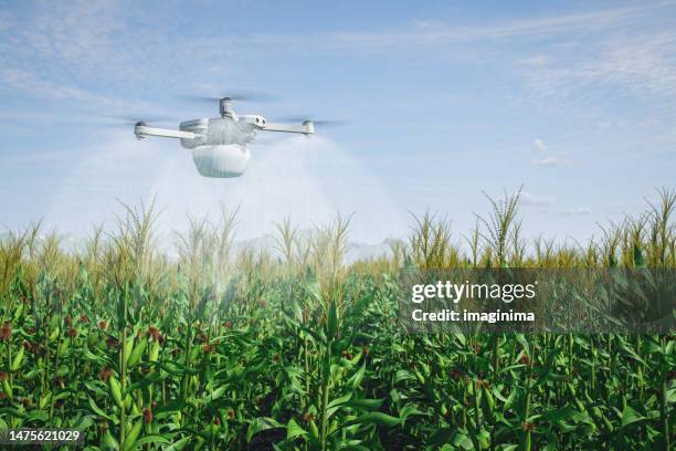 smart agriculture, drone-assisted crop irrigation - precision agriculture stock pictures, royalty-free photos & images