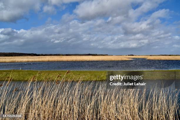 looking across the minsmere river 2 - england river landscape stock pictures, royalty-free photos & images