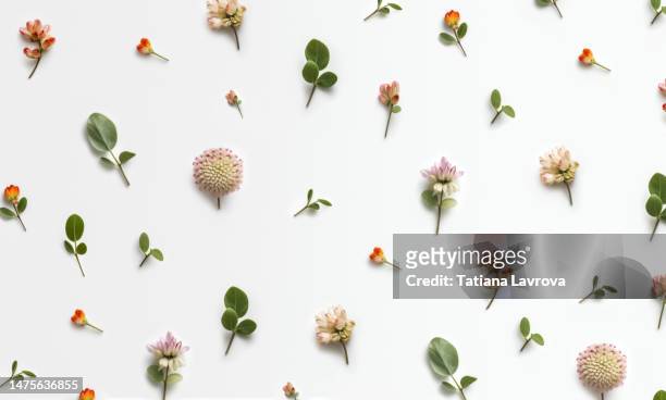 different small flowers and green leaves pattern on white background. natural floral textured flat lay. spring, summer, easter, eco-friendly products, nature concept - leaf white background stock pictures, royalty-free photos & images