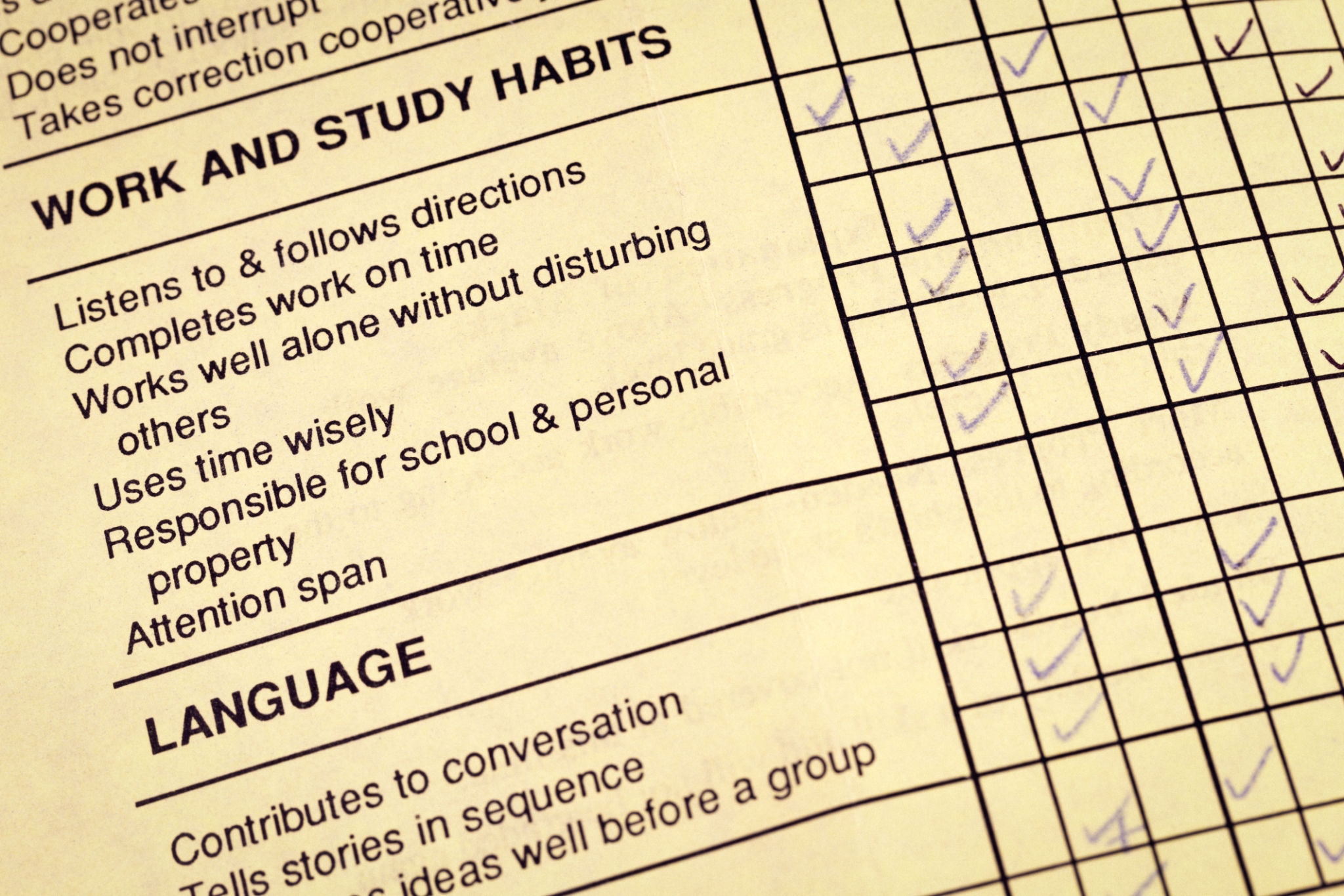 Kindergarten Report Card Kindergarten Report Card