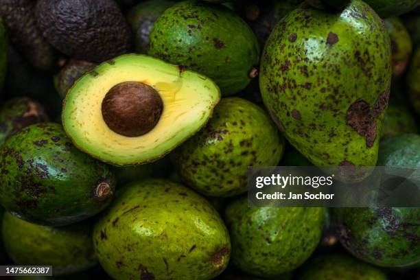 Fresh and ripe avocados, cultivated in local farms, are seen offered for sale in the street market on December 6, 2022 in Armenia, Colombia. Avocado...