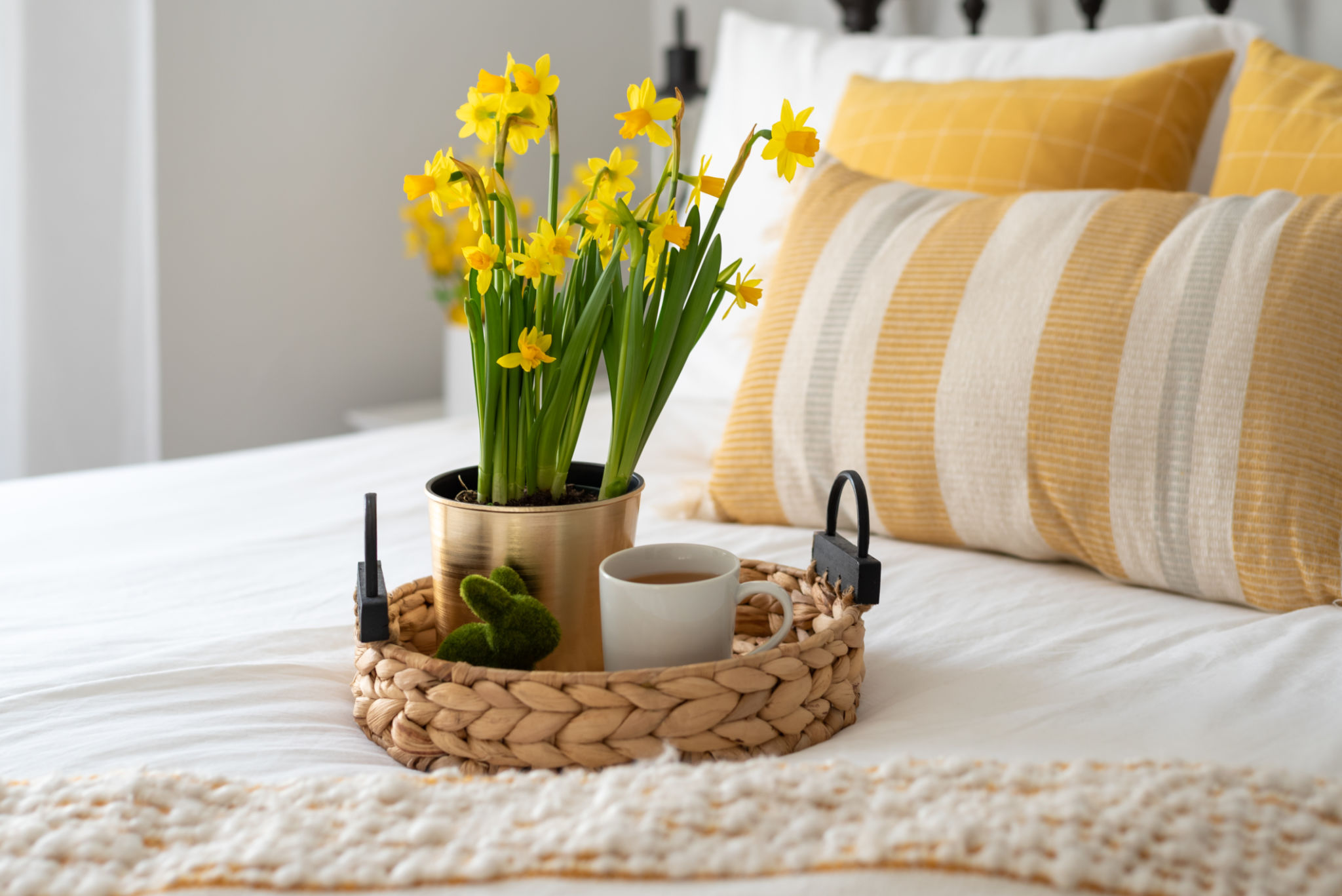 spring home refresh