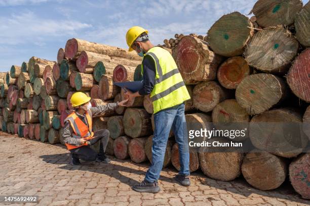 two male and female workers work on a lumber yard in the port - health and safety icons stock pictures, royalty-free photos & images