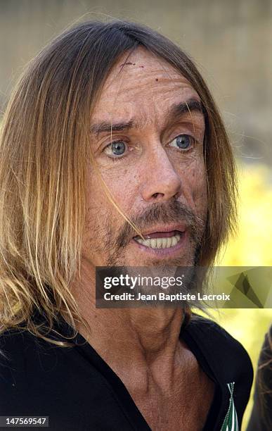 Iggy Pop during Iggy Pop Receiving the "Arts and Letters Medal" - Photocall - Paris at Ministry of Culture in Paris, France.