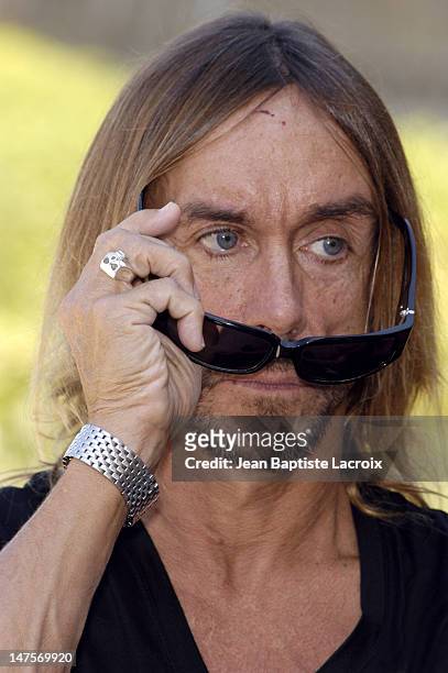 Iggy Pop during Iggy Pop Receiving the "Arts and Letters Medal" - Photocall - Paris at Ministry of Culture in Paris, France.