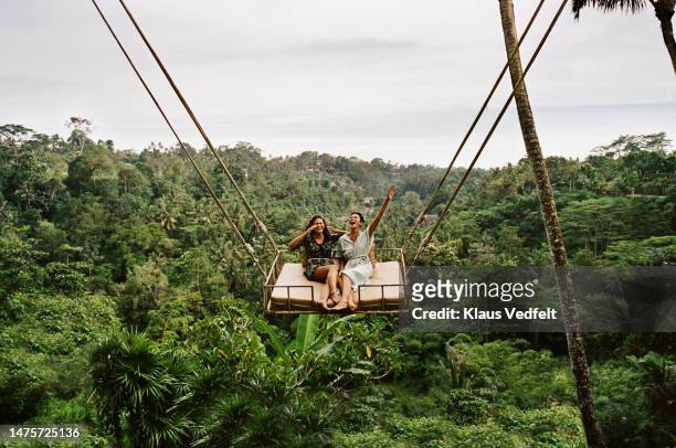 friends swinging together against forest - travel stock-fotos und bilder