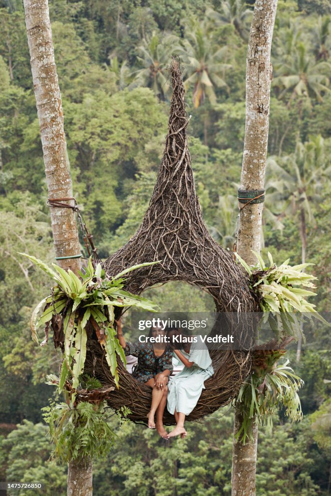 Friends sitting in nest swing tied on trees