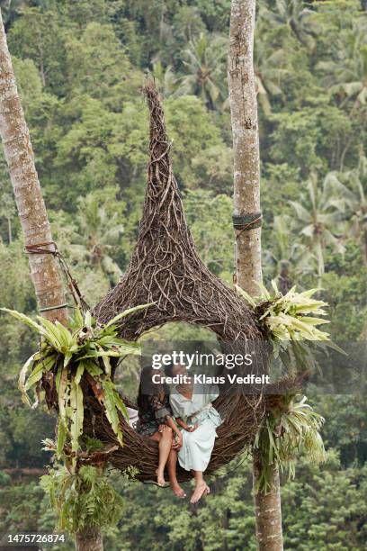 friends taking selfie sitting in nest swing - a real swinger fotografías e imágenes de stock