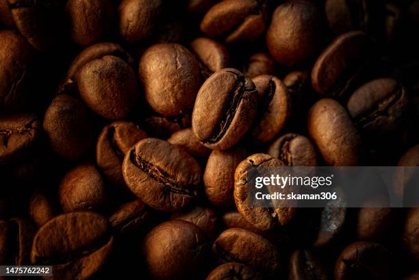 close up roasted coffee  beans with dramatic light and copy space - biomedical animation stock pictures, royalty-free photos & images