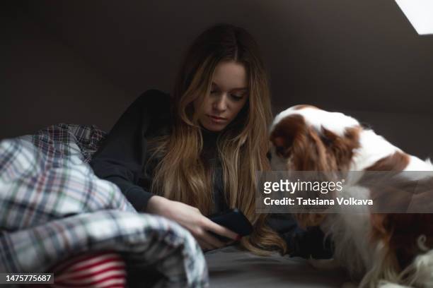 teenage girl 16 years in pajamas siting on bed holding phone mobile device smartphone in hands dog sits next to her which bothering her surfing in social media - 16 17 years girl stock-fotos und bilder