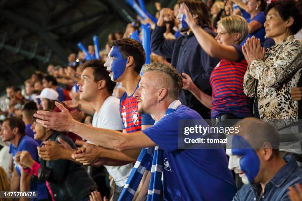 excited football fans in club's colors - club soccer bildbanksfoton och bilder