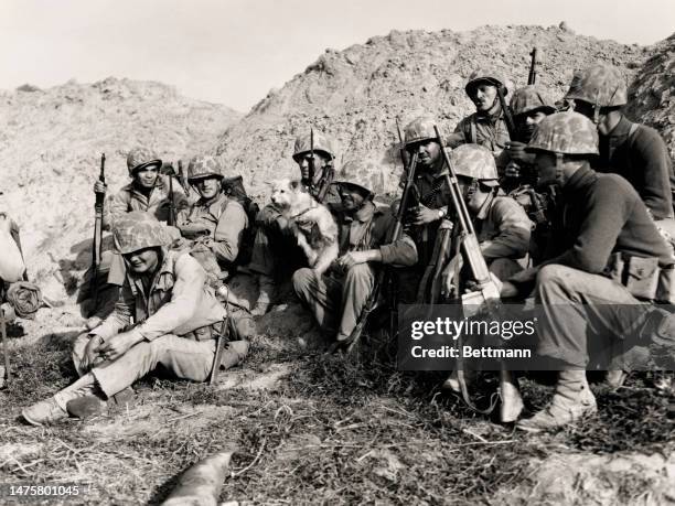 'Fluffy', the pet dog of Private First Class Carman B Barnett of Shumaker, Arkansas, regroups with his fellow Marines on the bank of the Han River....