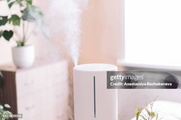 humidifier in the room opposite the houseplant on the chest of drawers and the window - luchtvochtigheid stockfoto's en -beelden