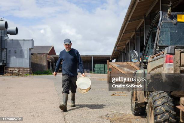 working in the sun - daily bucket stock pictures, royalty-free photos & images