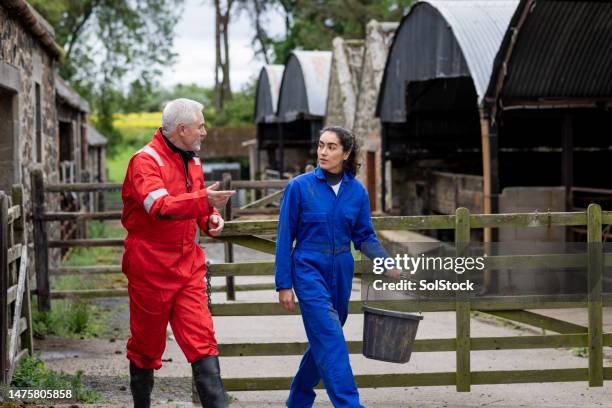 taking farming tips - daily bucket stock pictures, royalty-free photos & images