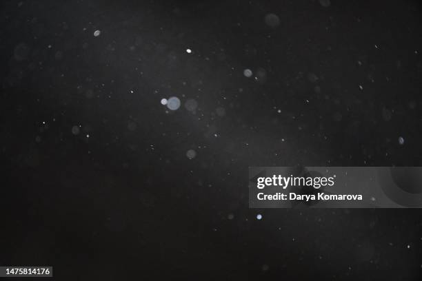 dust flies against the background of a beam of light, isolated black background with copy space. - dust foto e immagini stock