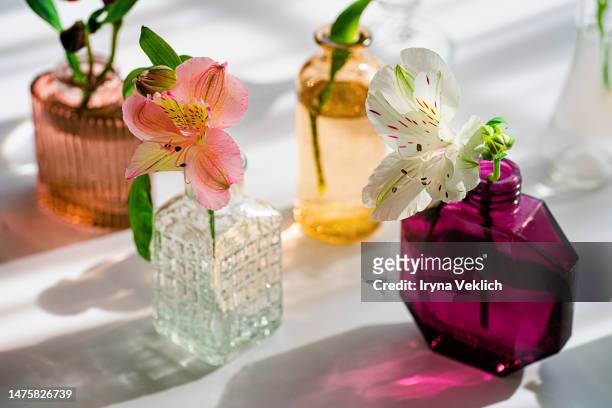 summer scene with flowers in the colorful glass vases from perfume. sun and shadows. minimal nature background. - red bud stock pictures, royalty-free photos & images