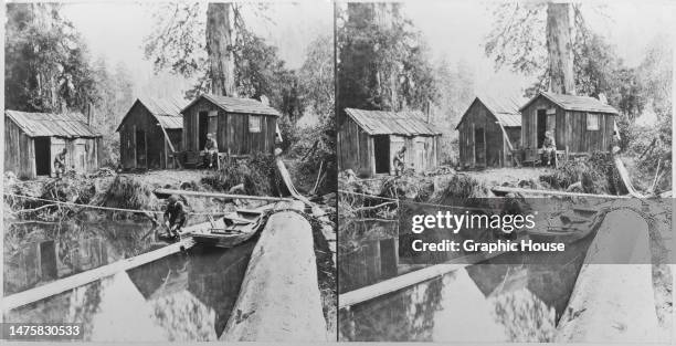 Stereoscopic image showing three men, one chopping wood with an axe, another sits outside a cabin, with the third sitting in a row boat, at a boom...