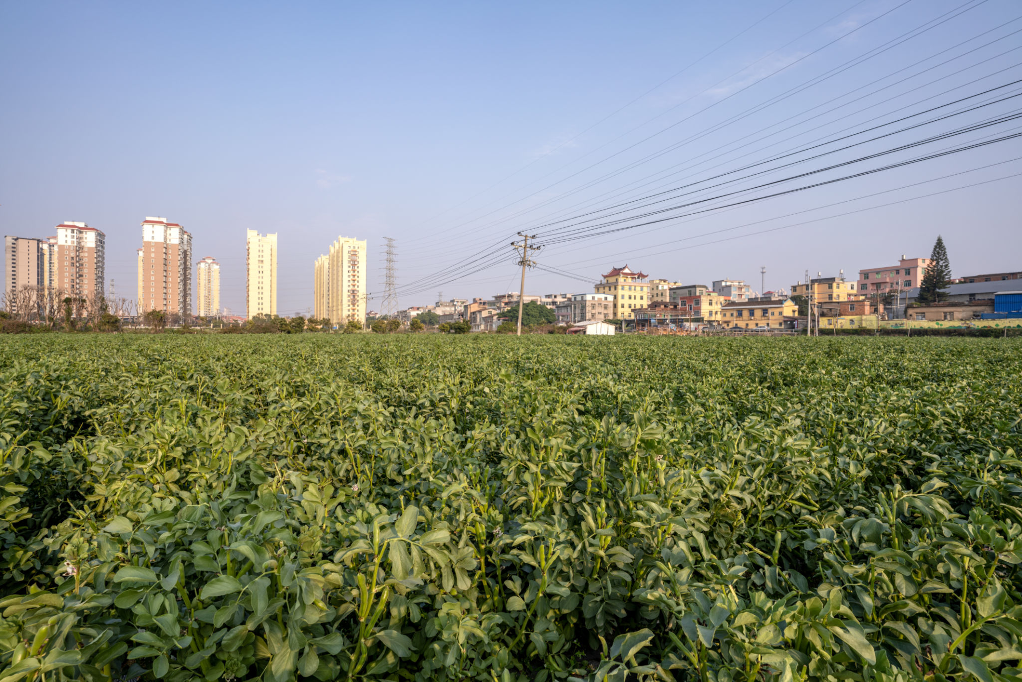 city rural contrast