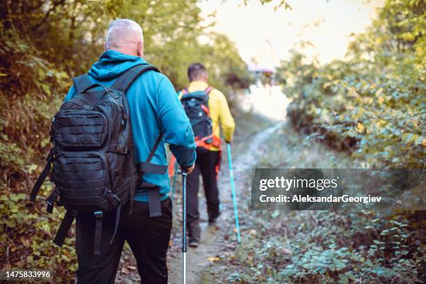 rear view of two confident senior males enjoying hiking - signaling pathways stock pictures, royalty-free photos & images