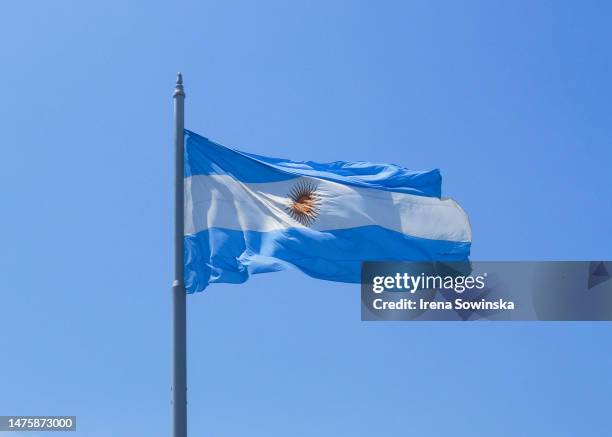 argentinian flag - argentina foto e immagini stock