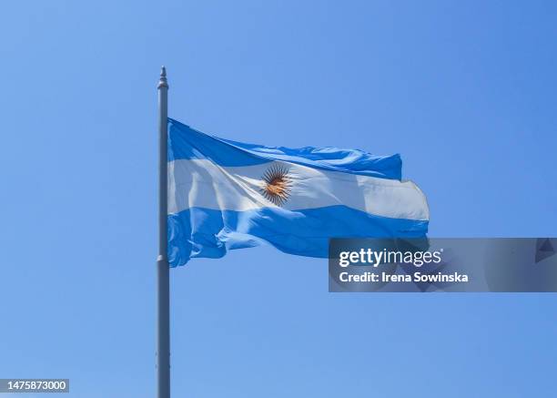 argentinian flag - argentinian culture stock pictures, royalty-free photos & images