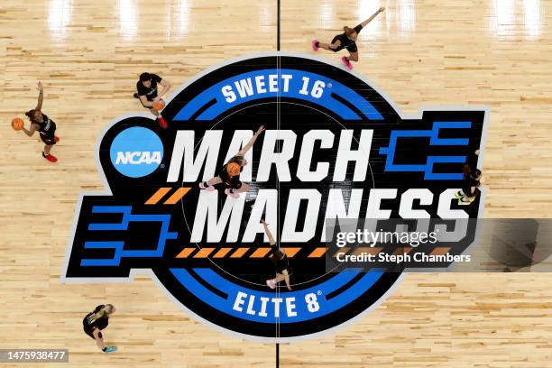 Members of the Louisville Cardinals react after a teammate made a basket during practice before the Sweet 16/Elite Eight round of the NCAA Women’s...