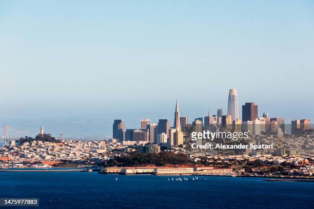 san francisco skyline on a sunny day, california, usa - transamerica pyramid stock pictures, royalty-free photos & images