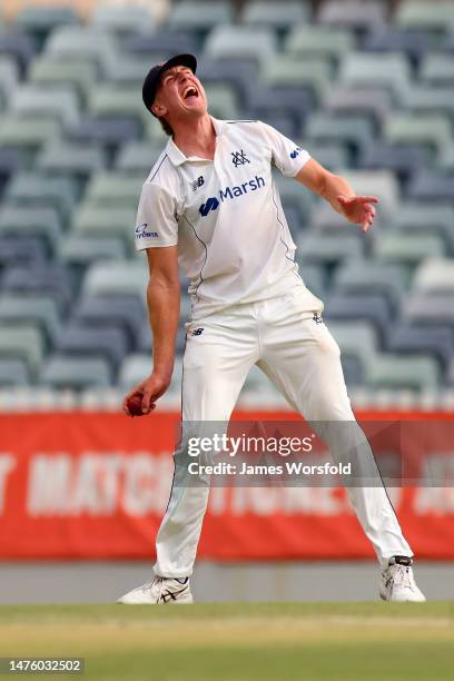 Will Sutherland of Victoria celebrates after taking a catch during the Sheffield Shield Final match between Western Australia and Victoria at WACA,...