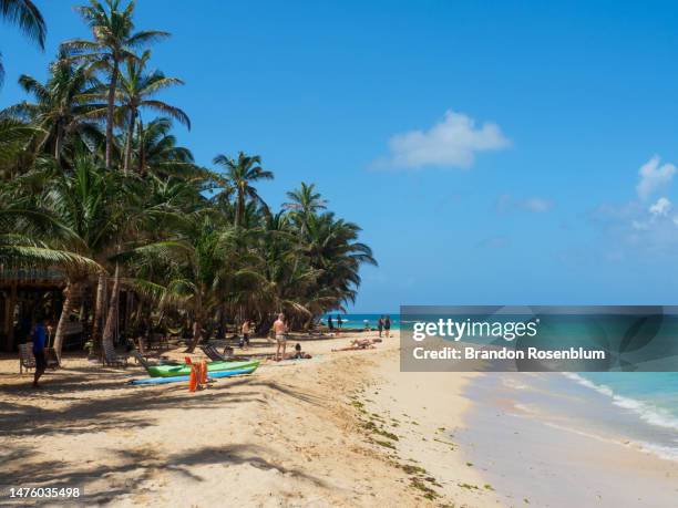 little corn island, nicaragua - nicaragua stock pictures, royalty-free photos & images