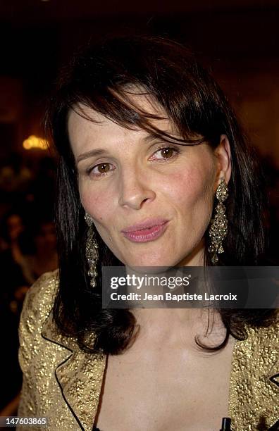 Juliette Binoche during Reporters Without Borders - Star Photos Auction Sponsored by Juliette Binoche at Inter-Continental Hotel in Paris, France.