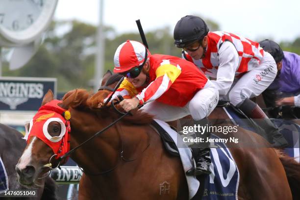 Reece Jones riding Tapildoodledo wins Race 3 Elite Sand & Soil Tulloch Stakes during Sydney Racing at Rosehill Gardens on March 25, 2023 in Sydney,...